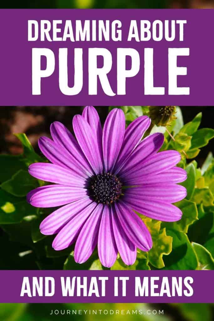 El significado y simbolismo del morado. 4 Soñar con morado