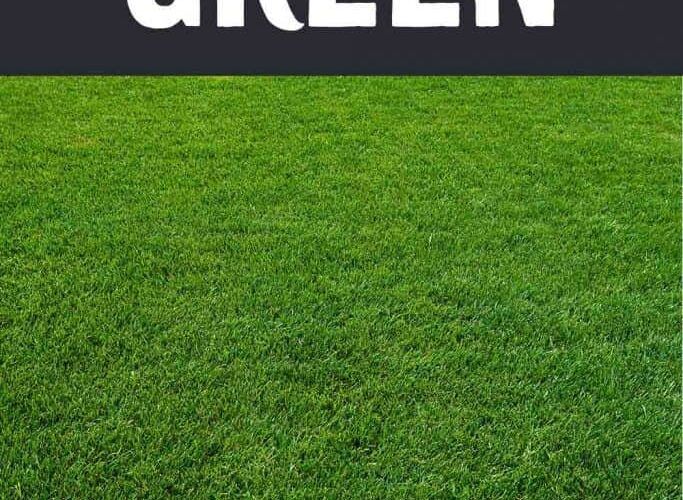 El significado y el simbolismo del sueño de color verde. 29 Que significa soñar