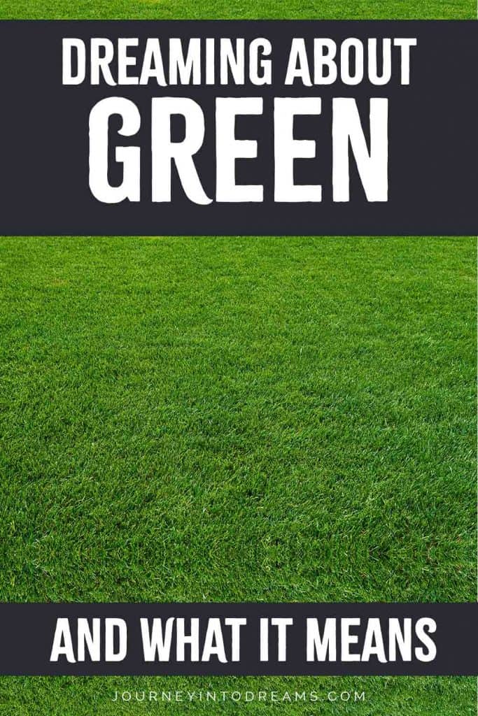 El significado y el simbolismo del sueño de color verde. 2 Que significa soñar