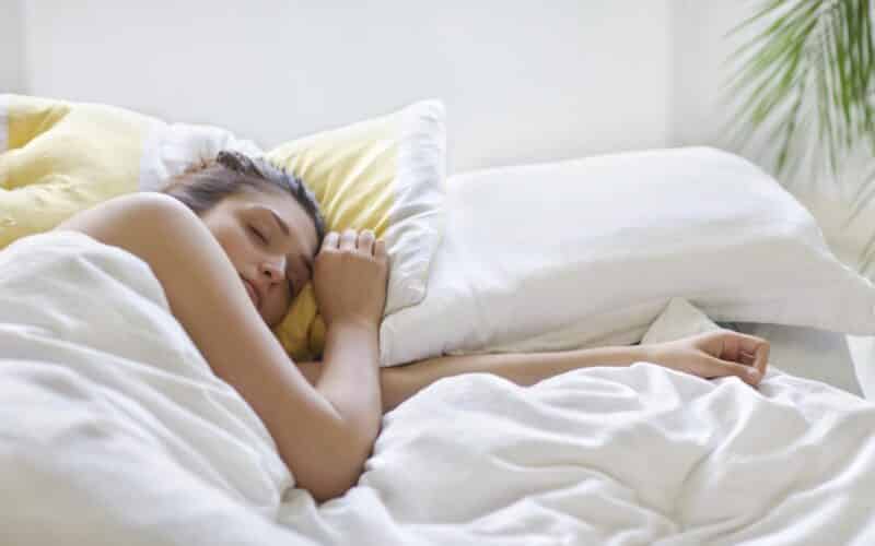 Teorías de por qué dormimos 15 Teorias de por que dormimos