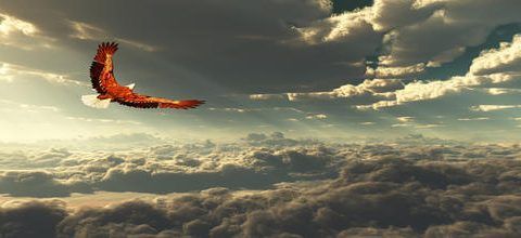 Interpretación del Sueño del Águila | Red de Psicología 4 Interpretacion del Sueno del Aguila Red de Psicologia