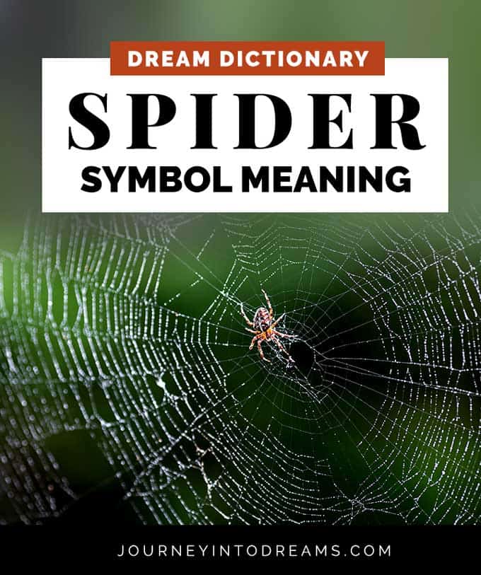que significa soñar con arañas 3 simbolismo del sueño de araña