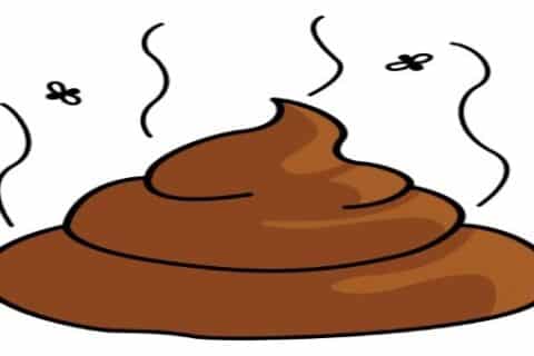 ¿Qué significa soñar con caca? 5 ¿Qué significa soñar con caca?